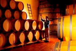 Viñedos y Bodegas de la Marquesa. History, Vineyard, Winery, Wine Making, Prizes and Acknowlegements.